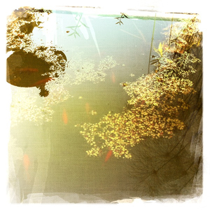 Hip 328564331.676975