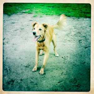 Hip 336159421.732730