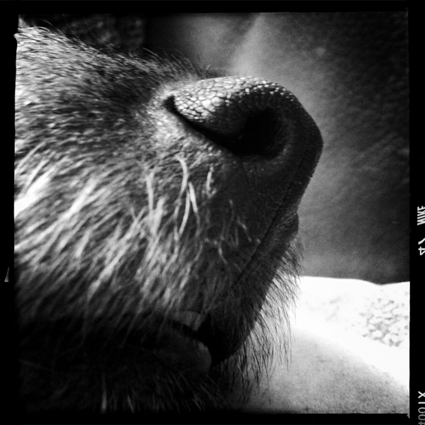 Hip 333040775.241147