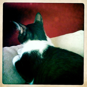 Hip 336218877.943760