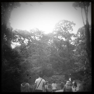 Hip 333099191.723933