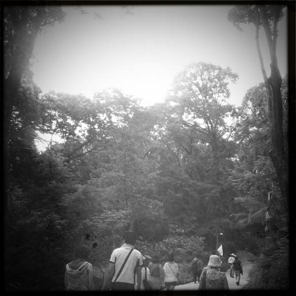 Hip 333099191.723933