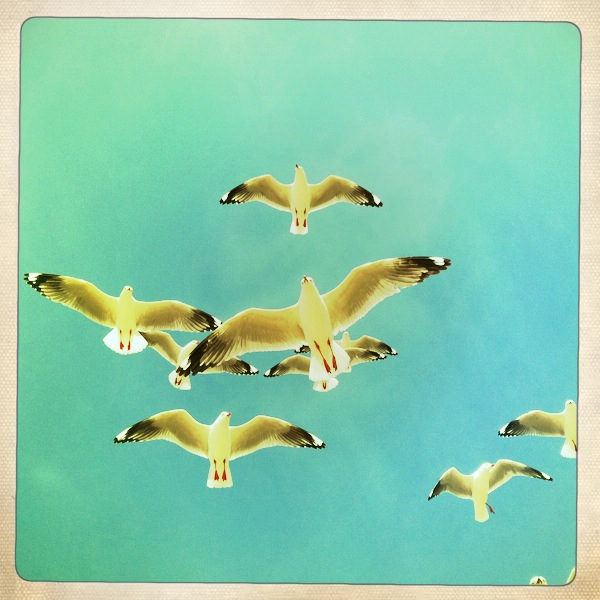 Hip 336200586.224535