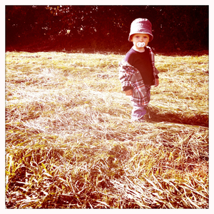 Hip 334680698.293056