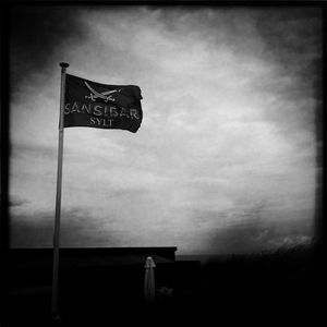 Hip 336134067.847137