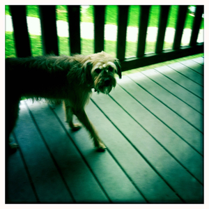 Hip 336175535.336282