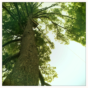 Hip 336173262.849790