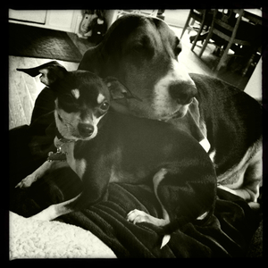 Hip 335450355.938458