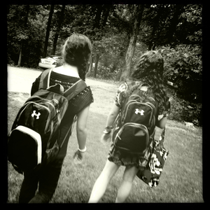 Hip 335446148.604643