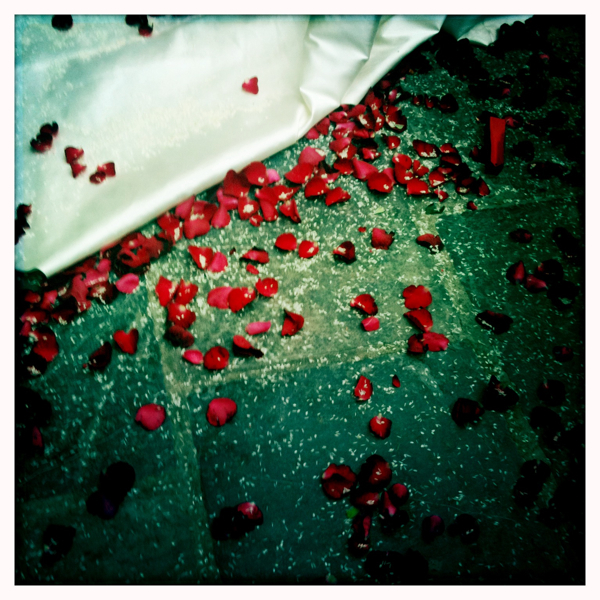 Hip 329509439.036982