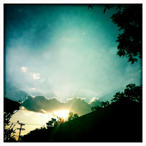 Hip 335491884.605541