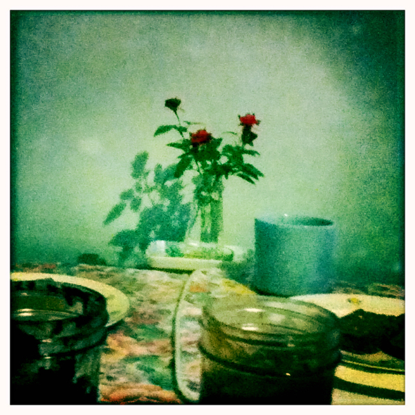 Hip 336231214.966255