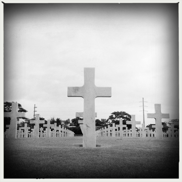 Hip 336114309.253107