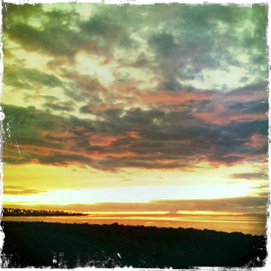 Hip 335829578.483885