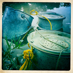 Hip 301757445.350225