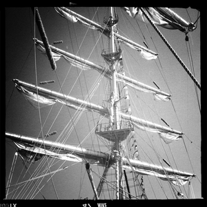 Hip 336155567.858423