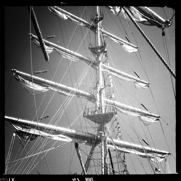 Hip 336155567.858423