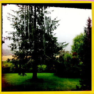 Hip 336233903.888644