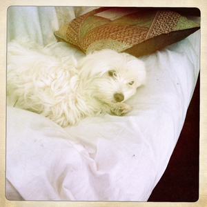 Hip 336234158.634127