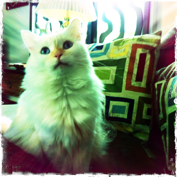 Hip 336180644.248847