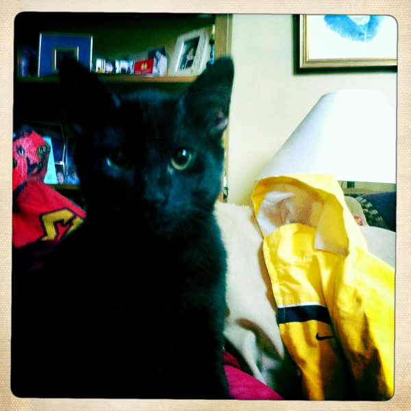 Hip 335743551.135896