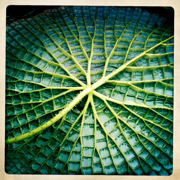 Hip 336226414.511968