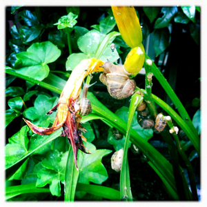 Hip 330656955.171947