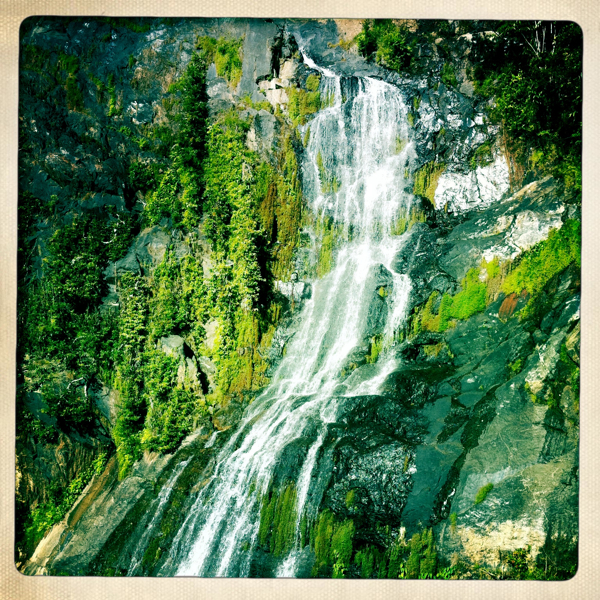 Hip 335922393.889597