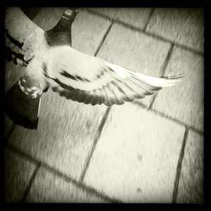 Hip 334576147.880445