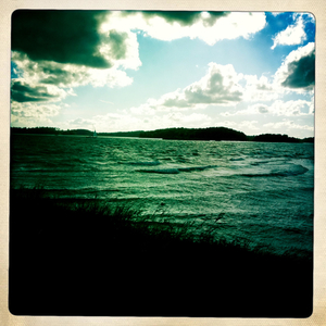 Hip 336236902.945662