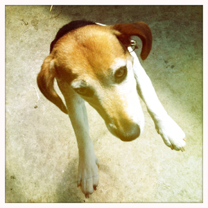 Hip 329233240.238274