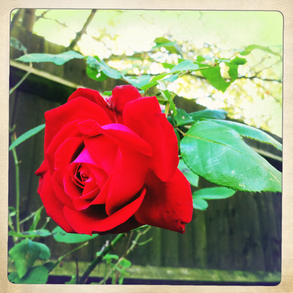 Hip 336239019.775996