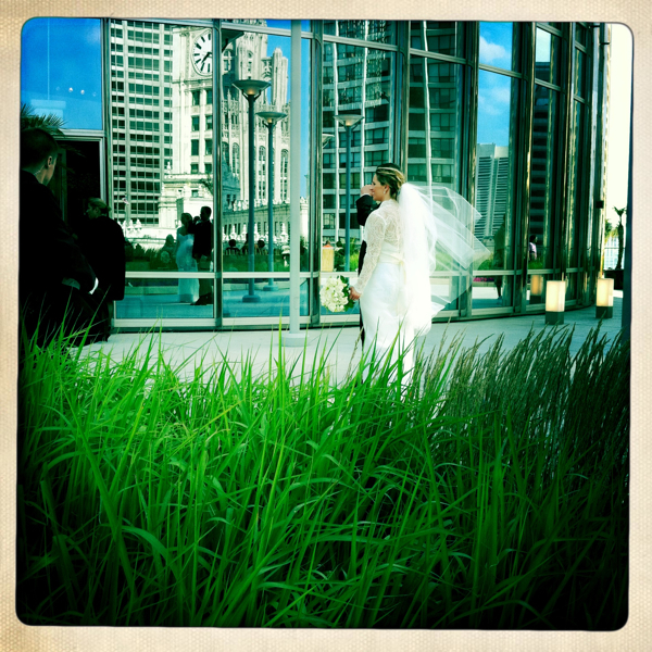 Hip 331940616.859103