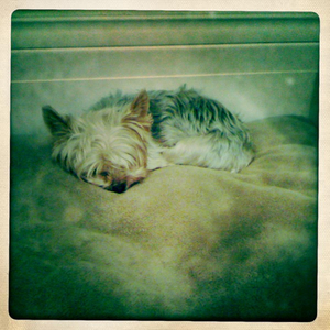 Hip 307248980.683045