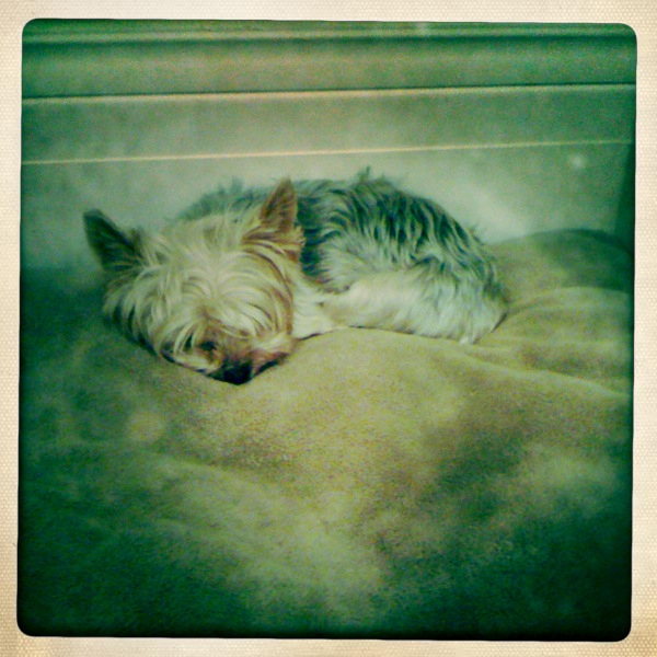 Hip 307248980.683045