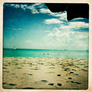 Hip 336238766.821966