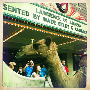 Hip 336182887.737443