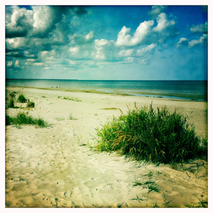 Hip 335963777.878464