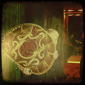 Hip 334373083.462473