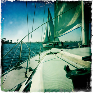 Hip 334368589.913524