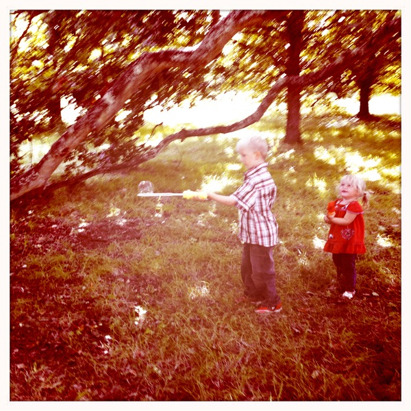 Hip 335024225.181070