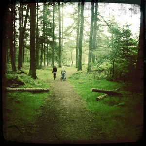 Hip 336226351.554063