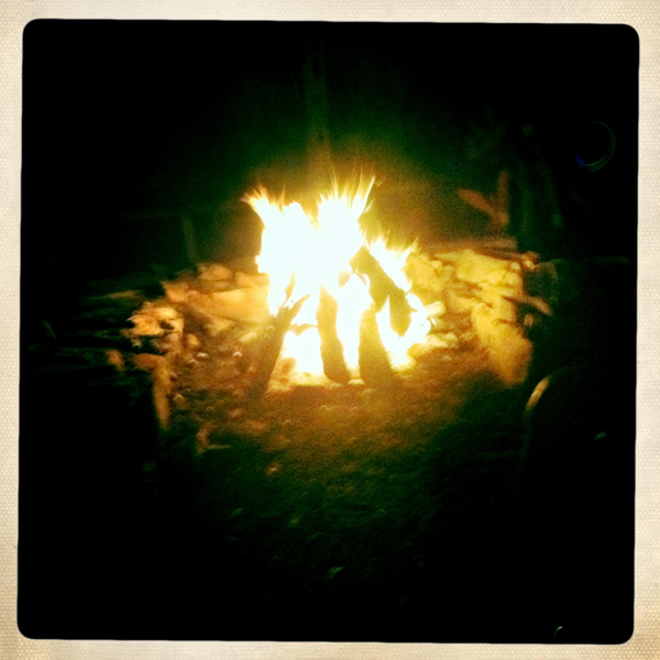 Hip 336096309.558911