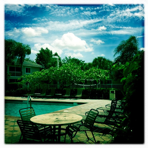 Hip 336074135.247324