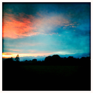 Hip 336251861.171144