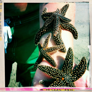 Hip 336252710.295105