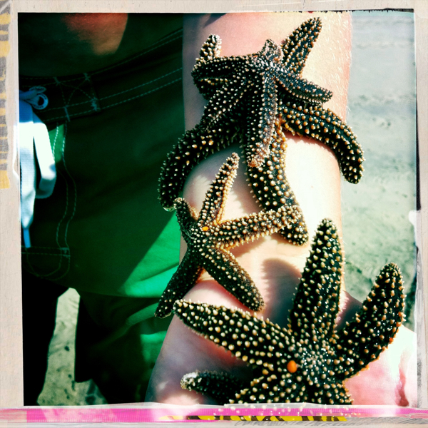 Hip 336252710.295105