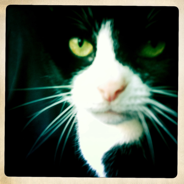 Hip 336239670.675437