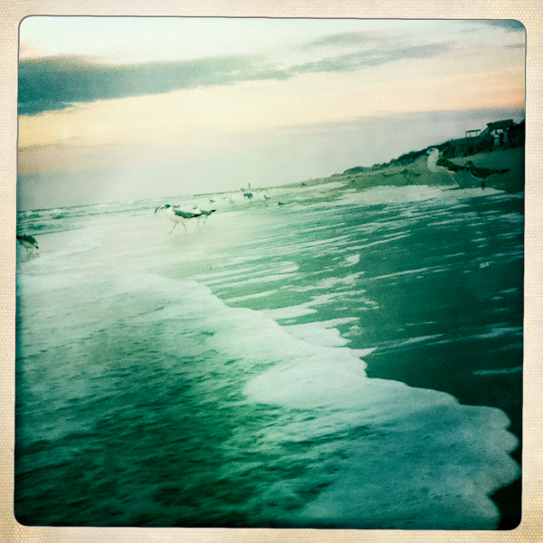 Hip 335834962.596406