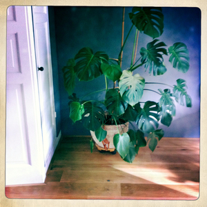 Hip 336239531.602813